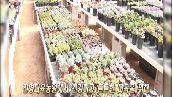 [2012 생생현장인터뷰] 다육식물로 인테리어 효과만점 -진영다육농원