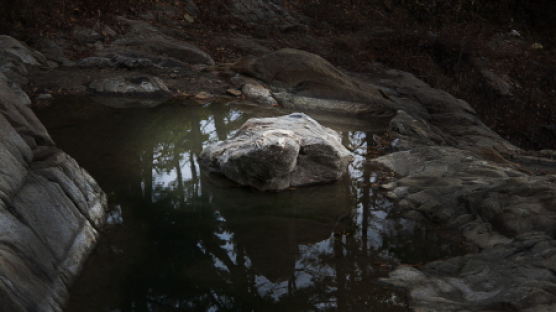공사 중 발견된 '4톤 돌거북이' 정체는?