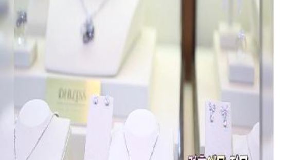 [영상뉴스] 2013 생생현장인터뷰- 고급 결혼 주얼리 전문 “디블리스 쥬얼리”