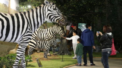 원숭이학교, 부산에 떴다! ‘인기몰이 중’ 