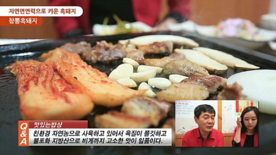 [영상뉴스] 2013 맛있는 밥상- 뽕잎에 빠진 친환경 흑돼지 “참뽕흑돼지”