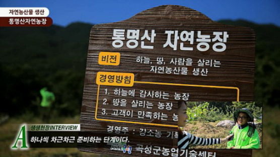 [영상뉴스] 2013 생생현장인터뷰- 친환경 꾸지뽕, 우슬, 머위 농장 “통명산 자연농장”