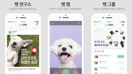 펫슬랩, 반려동물 통합 앱 공식 론칭