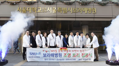 보라매병원, 연말연시 조명트리 점등식 개최