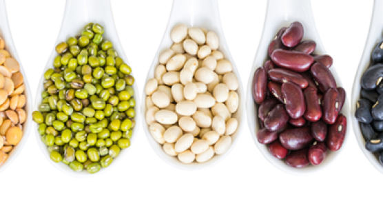 콩 속 단백질, 삶은 콩>볶은 콩>생콩 순