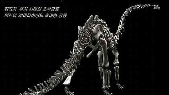 ‘디지털 쇼’로 부활한 공룡