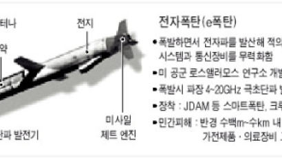 [이라크 전쟁] 美, 통신 끊는 e폭탄 첫 실전 투하