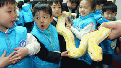[사진] "뱀도 만져볼 수 있어요"