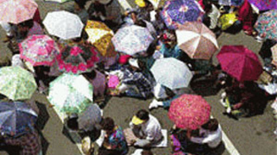 [사진] 양산 시위