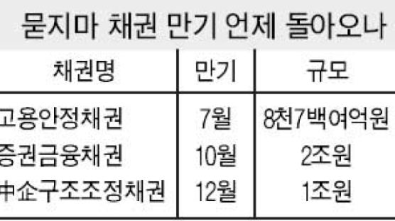 '묻지마 채권' 5조원 어디로