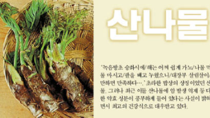 [week&건강] 산채 비빔밥은 복합 항암제