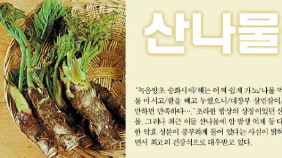 [week&건강] 산채 비빔밥은 복합 항암제