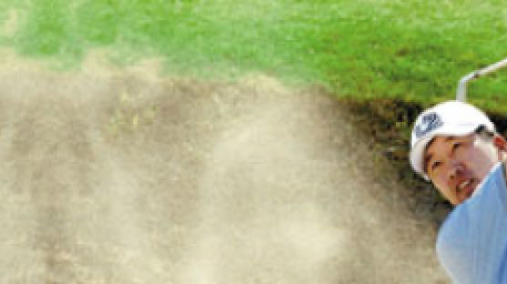[사람 사람] 브리티시오픈 골프 스타 허석호