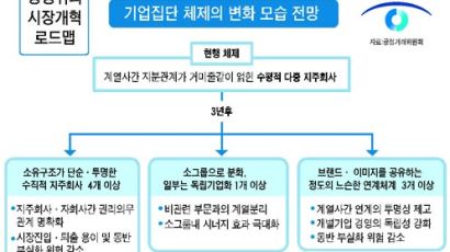 '3년내 재벌해체' 공정위 구상 논란