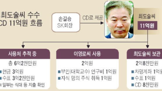 '대선 빚' 핑계 개인 축재 의혹