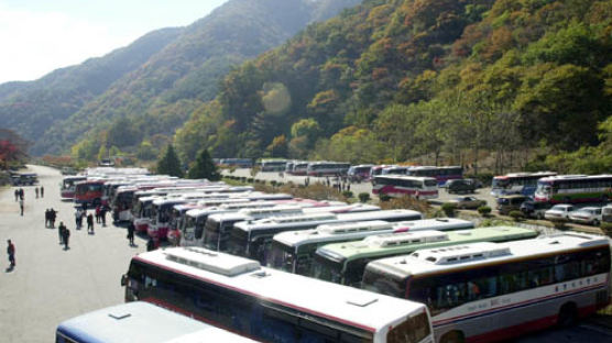 [사진] '버스 단풍' 절정 백양사