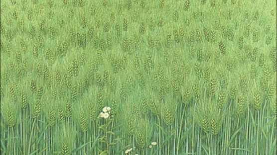 [작은갤러리] 옥천피실 푸른 보리밭