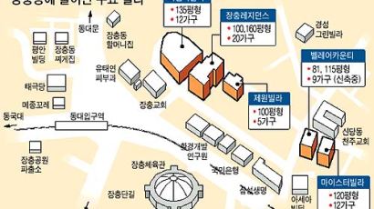 서울 중구 장충동, 빌라촌으로 변신