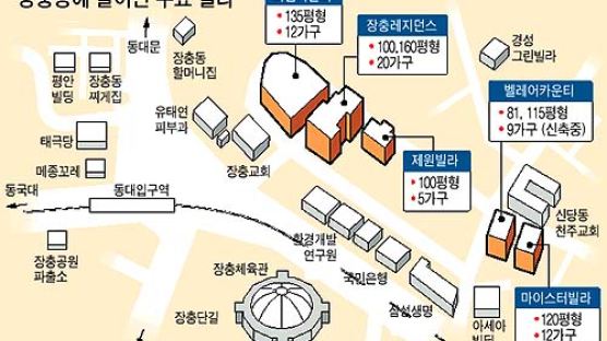 서울 중구 장충동, 빌라촌으로 변신