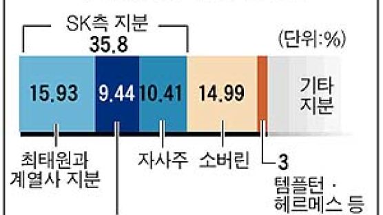 소버린 "주총서 SK 최태원회장 교체"