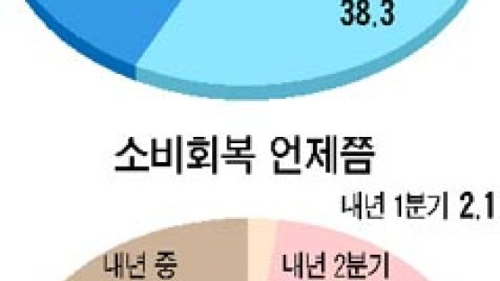 [경기 진단] 불안감이 투자·소비 막는다