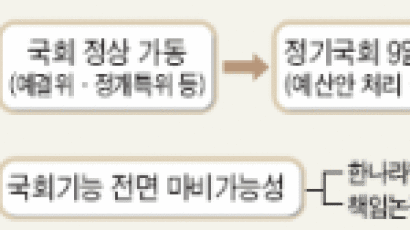 국회 파행 10일 만에 특검 재의 표결…거부권이 '거부' 당하나