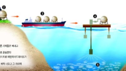 [과학과 미래] 바다 속 '불타는 얼음' 에너지 걱정 녹인다