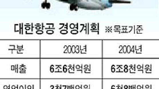 대한항공, 국제영업 주력 "2004년 8400억 투자할 것"