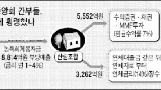 산림조합 8천여억 '돈놀이'