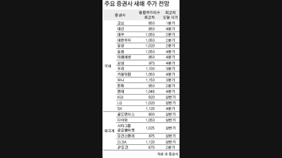 "주가 1000돌파 보인다"