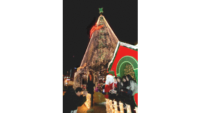 [사진] 불 밝힌 초대형 크리스마스 트리