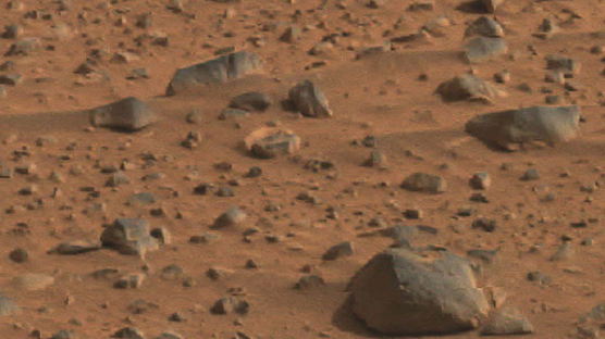 [사진] 화성의 지평선