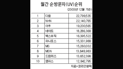 [클릭] 인터넷 포털, 2004년은 '히이브리드' 시대