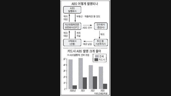 LG카드 여파…ABS시장은 '영하권'