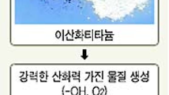 나노 입자로 새 건물 '毒' 싹싹