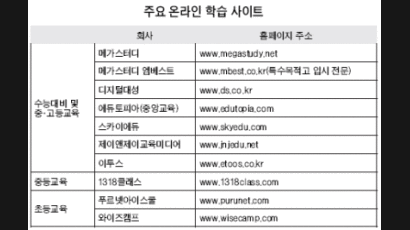 비싼 과외 代案 찾기…교육부도 'e-러닝' 나선다