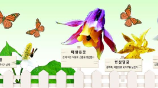 [과학과미래] 봄… 봄…봄, 꽃들의 짝짓기
