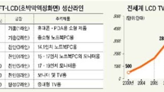 삼성-소니 LCD합작사 공식 계약