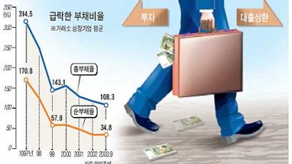 [CEO 리포트] "한국기업 빚 너무 적어 문제"