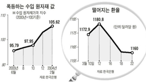 환율 정책 '수출이냐 물가냐' 고민