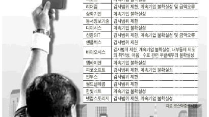 회계감사 "더이상 솜방망이 아니다"…코스닥 기업 줄줄이 퇴출