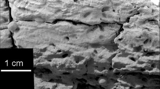 [사진] 화성 표면서 물결 무늬 발견