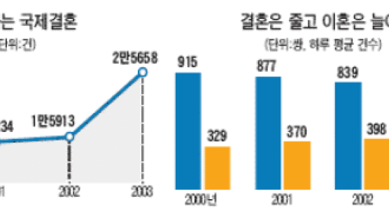 [혼인·이혼 2003 통계] 100쌍 중 8쌍이 국제결혼