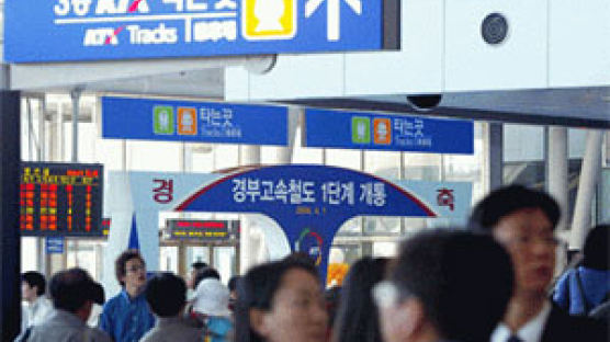 개통 6일 서울 ↔ 부산행 타보니…'2% 부족한' 고속철