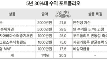 [1억원 굴리기] 3. 5년