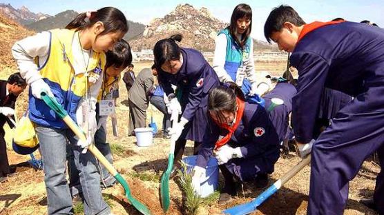 [사진] 남북 청소년 함께 나무심기