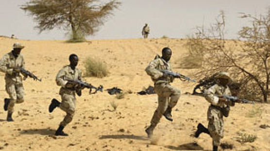 사하라 사막은 테러범 아지트