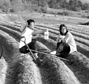 Cover Story] 흙에서 인간적으로 행복할 수 있었다 | 중앙일보