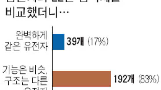 침팬지 22번 염색체 완전 해독