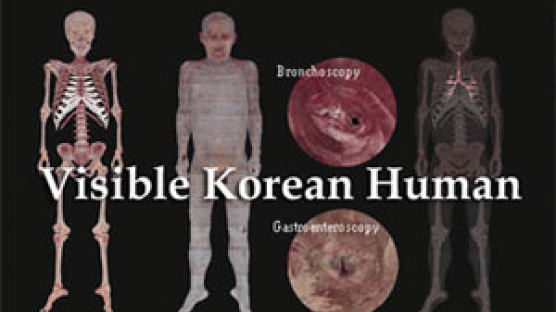 한국남성 몸 구석구석 '인체 영상' 만들었다